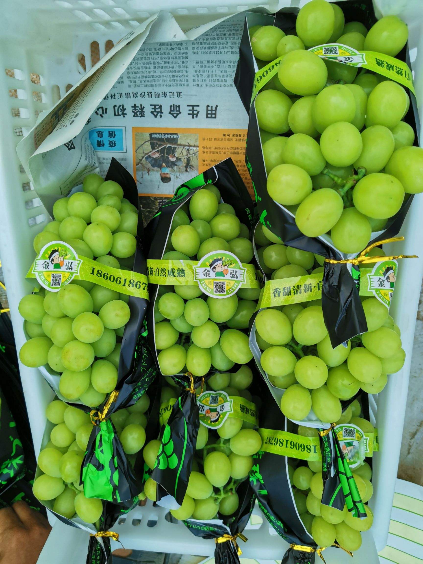 葡萄品质分级与验收标准配图