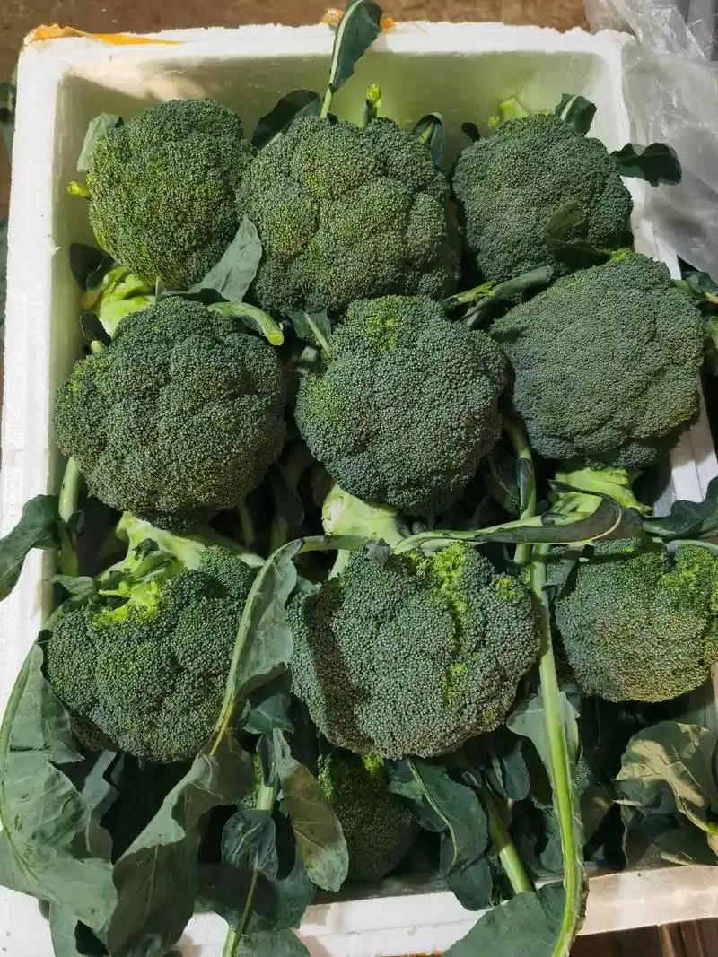 蔬菜品质分级与验收标准配图