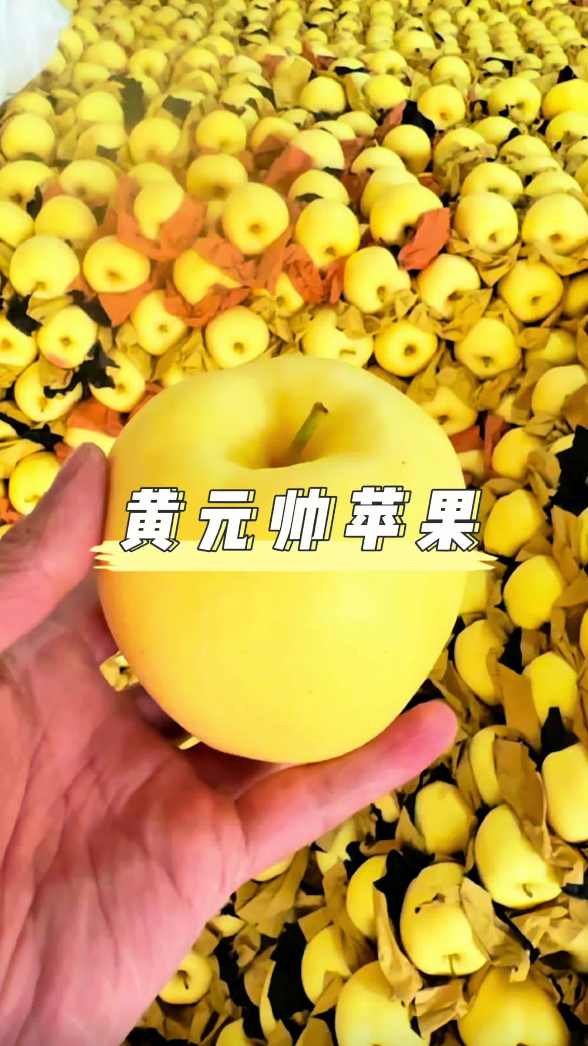 苹果批发采购与渠道合作配图