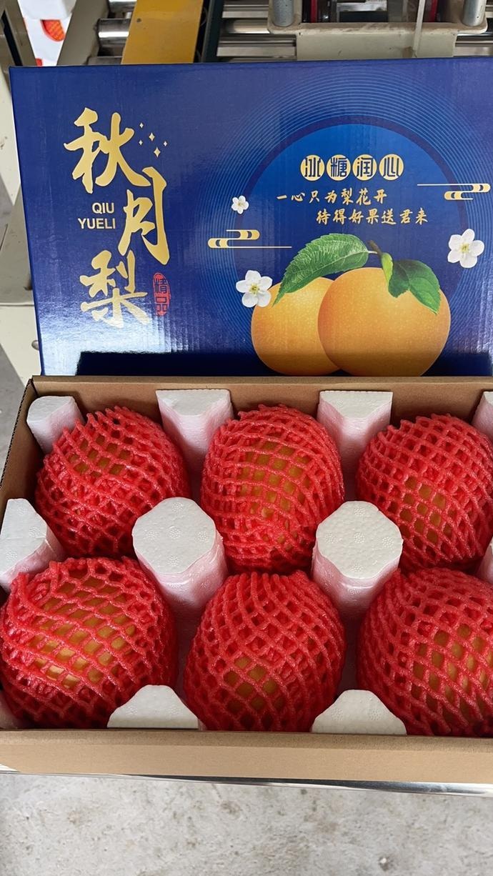 水果到货后的验收与短期储存建议正文配图3